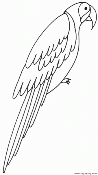 dibujo-de-loro-010.gif