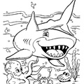 dibujo-de-tiburon-011
