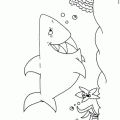 dibujo-de-tiburon-014