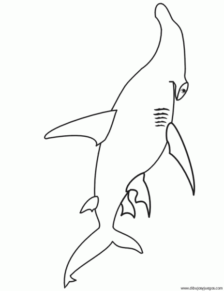 dibujo-de-tiburon-015.gif