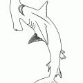 dibujo-de-tiburon-016
