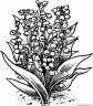 dibujo-flores-campanitas-014
