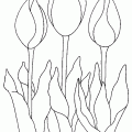 dibujo-flores-tulipanes-008