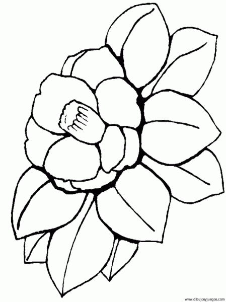 dibujo-flores-varios-030.gif