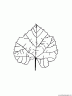 dibujo-arboles-hojas-009