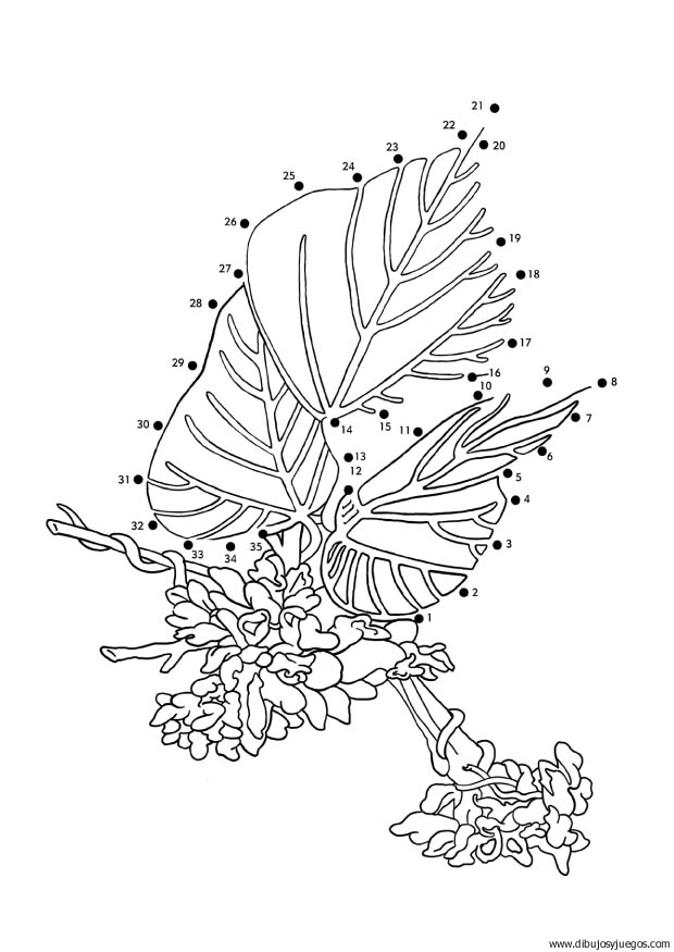 plantas-dibujar-uniendo-puntos-numeros-003 | Dibujos y juegos, para